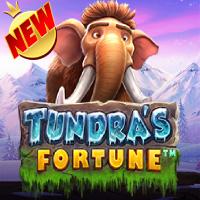 Tundra’s Fortune
